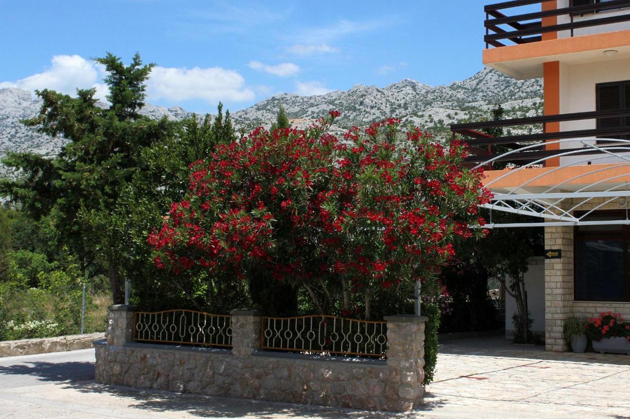 Apartments And Rooms By The Sea Starigrad, Paklenica - 6591 Zewnętrze zdjęcie
